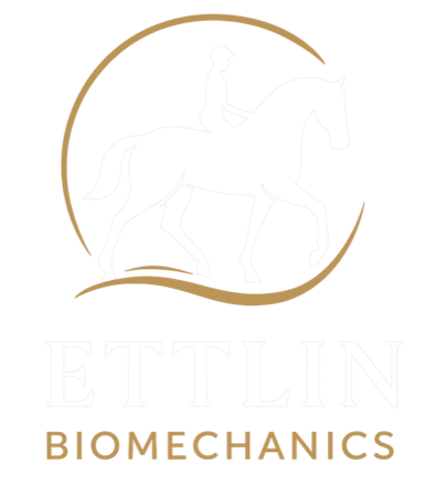 Ettlin Biomechanics